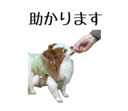 803269086