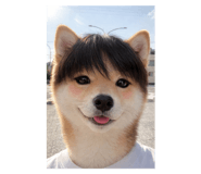 803273248