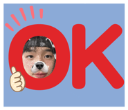 803274046