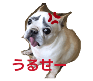 803274459