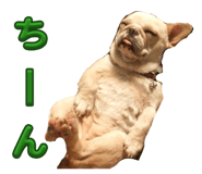 803274476