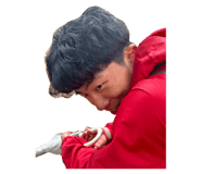 803274660