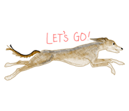 803275111