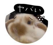 803288391