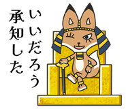 803300079