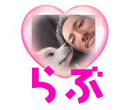803307344