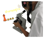 803308574