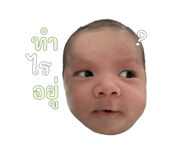 803312947