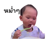 803313492