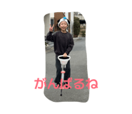 803325003
