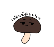 803329462