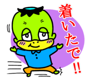 803336144