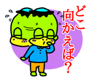 803336146