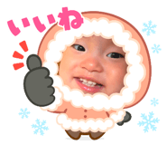 803338646