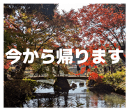 803343718