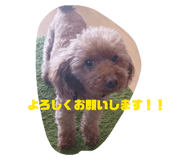 803346569