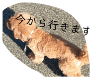 803346574