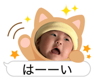 803347516