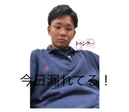 803351175