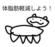 803378069