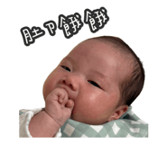 803384828