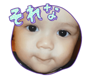 803399511