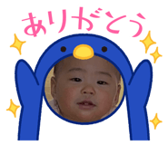 803399588