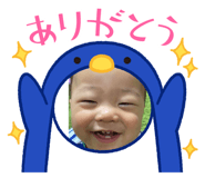 803399594