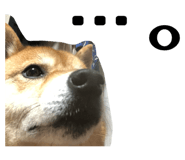803405898