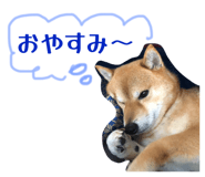 803405900