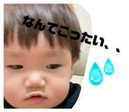 803406616