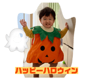 803406620