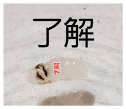 803466934