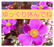 803467312