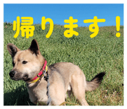 803486169