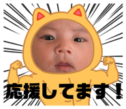803505941