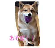 803508374
