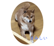 803508378