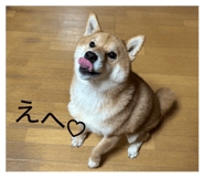 803508384