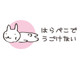 8035162