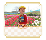 803527349