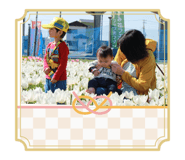 803527351