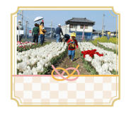 803527352