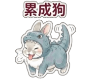 803536329
