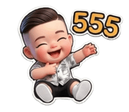 803652024