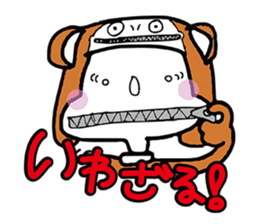 8036633