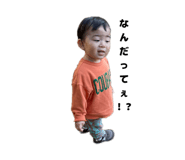 803663538