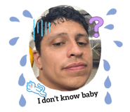 803668291