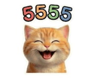 803672568