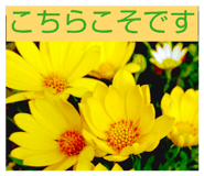 803675748